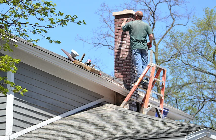 Chimney & Fireplace Inspections Services in Sandy, UT